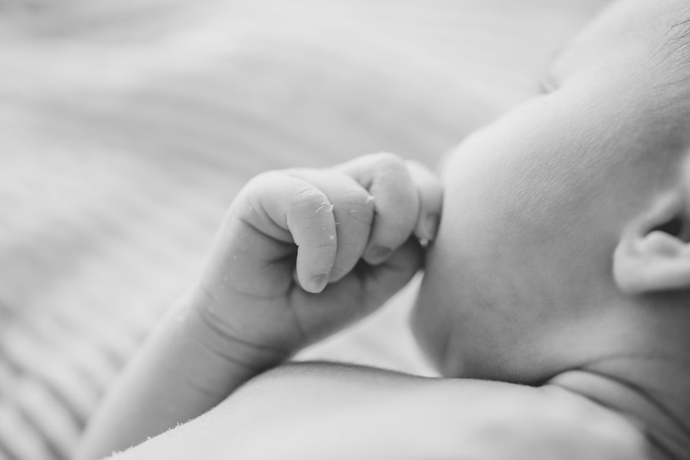 bailey tuttle newborn-51.jpg